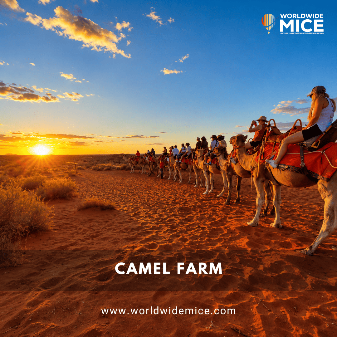 Camel Farm